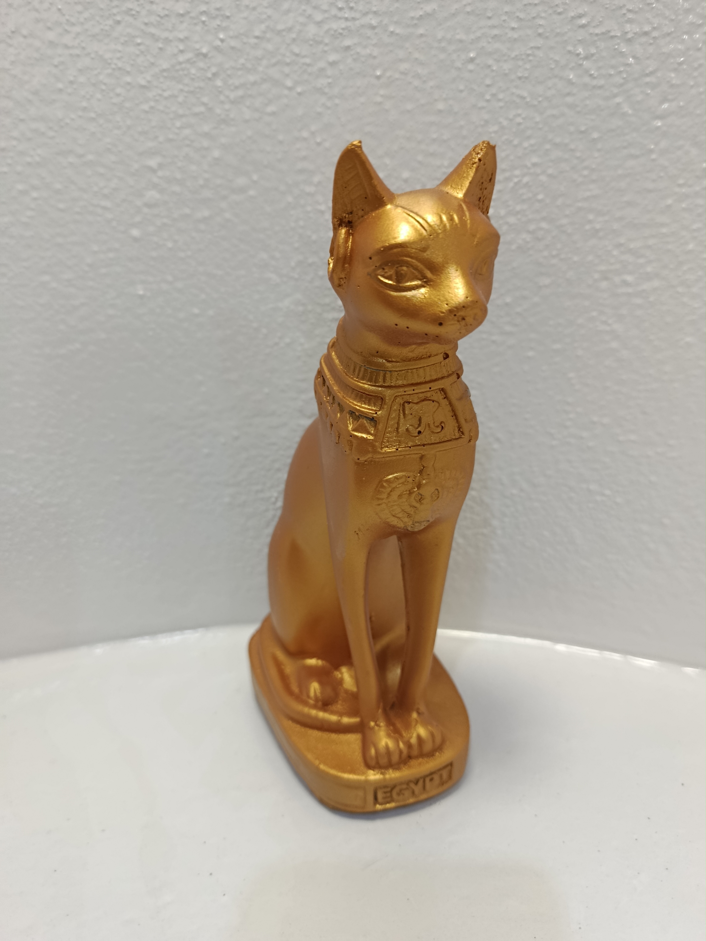 القط الصغير